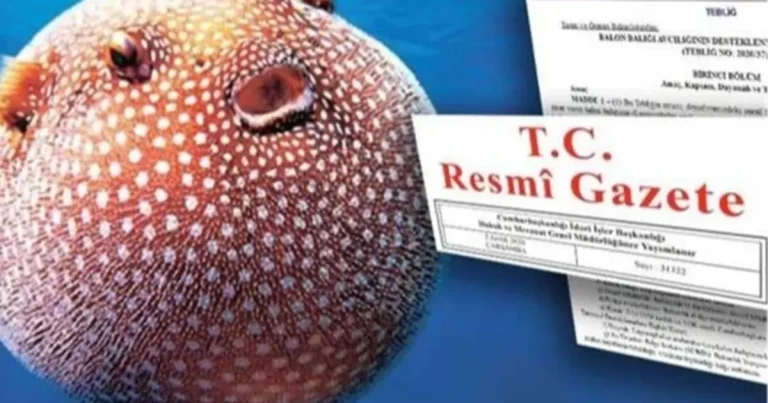 balon-baligi-avciligi-destegi-artirildi-KiqEfnXc.webp