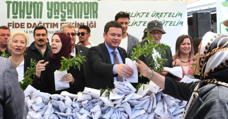 bursada-osmangazi-belediyesinden-ucretsiz-fide-dagitimi-SOeEpegQ.webp