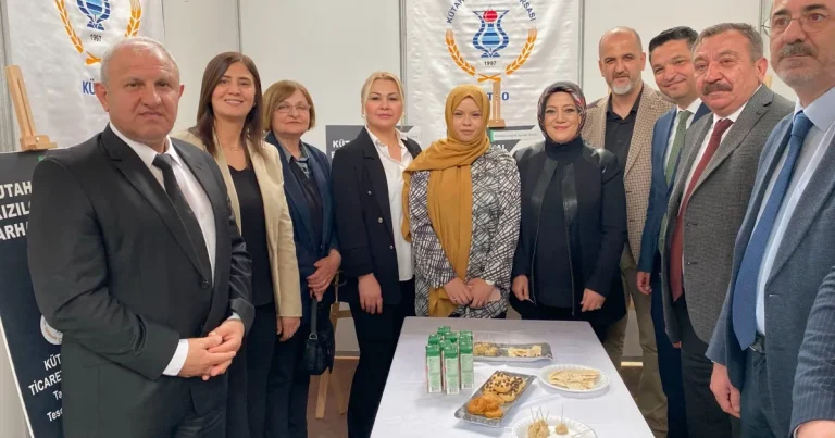 kutaf-kapilarini-acti-bUdLf74V.webp