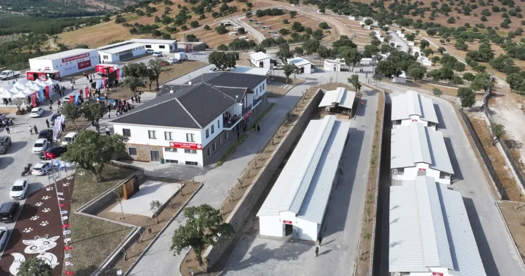 manisada-sokak-hayvanlari-icin-hayvan-yasam-merkezi-hizmete-acildi-ykcDqpPa.webp