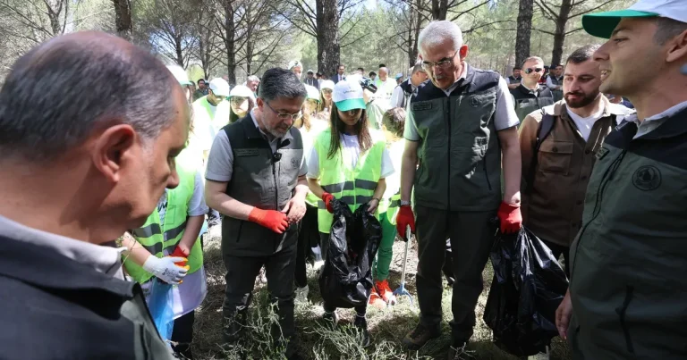 orman-yanginlarina-karsi-es-zamanli-temizlik-cqFGGiHl.webp