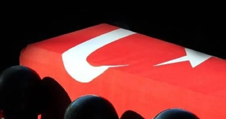 pence-kilite-yildirim-dustu-1-askerimiz-sehit-VS2xFsu6.webp