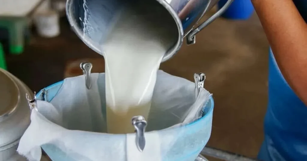 turkiyede-sut-uretimi-yukseliyor-martta-1-milyon-15-bin-ton-sut-toplandi-vYQnyFVa.webp